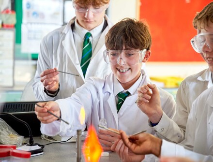 Curriculum Principles