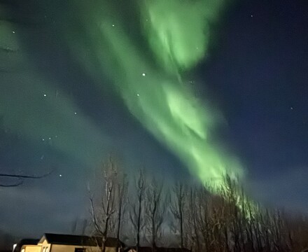 Iceland 2025 (1)